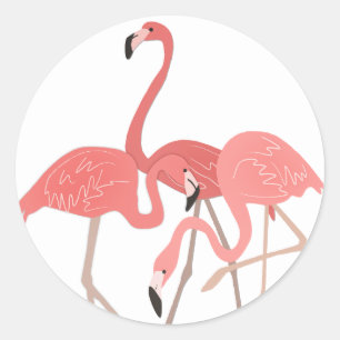 Flamingo Trio Runder Aufkleber