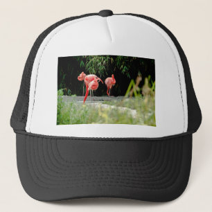 Flamingo Truckerkappe