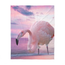 Flamingo und rosa Himmel