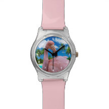 Flamingo und Strand