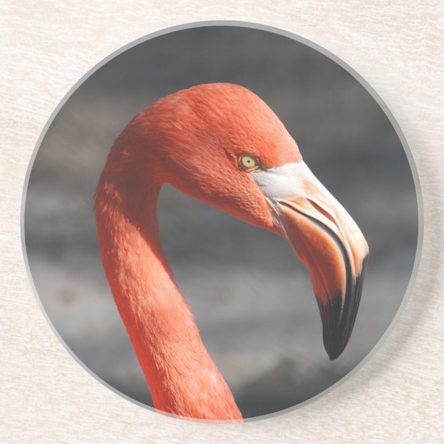 Flamingo Untersetzer (Vorne)