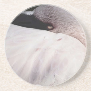 Flamingo Untersetzer
