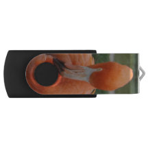 Flamingo USB-Blitz-Antrieb