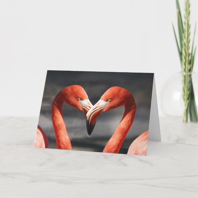 Flamingo-Valentinstag-Karte Feiertagskarte (Vorderseite)