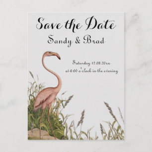 Flamingo Vintag Watercolor Rett Datum Hochzeit Postkarte