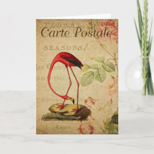 Flamingo Vintage französische Postkarte
