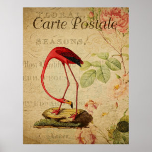 Flamingo Vintages französisches Postkartenposten Poster