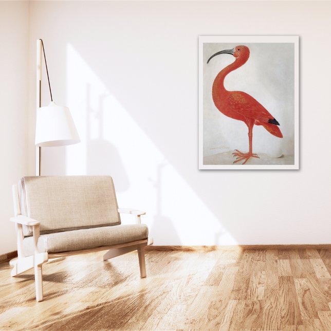 Flamingo - Vintages Kunstposter Poster (Von Creator hochgeladen)