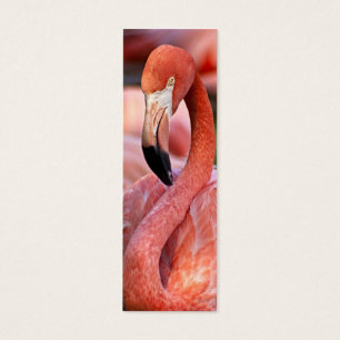 Flamingo-Visitenkarte