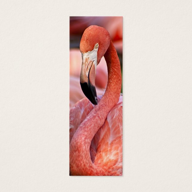 Flamingo-Visitenkarte (Vorderseite)