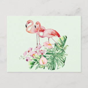 Flamingo-Vögel, tropische Blume und Blätter Postkarte