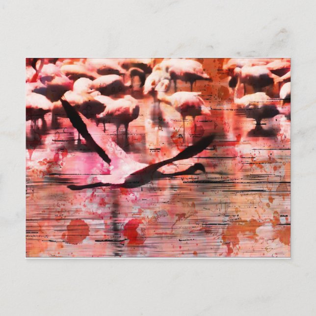 Flamingo Wisdom Postkarte (Vorderseite)