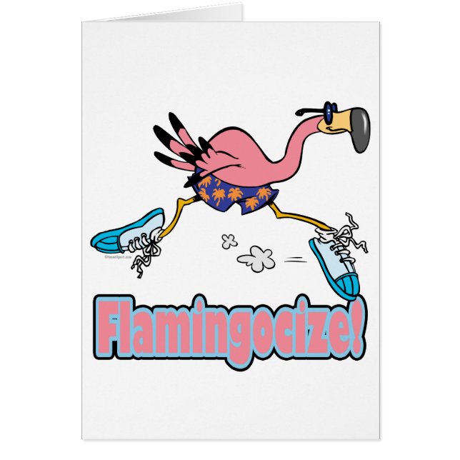 Flamingocize Joggen Flamingo Cartoon (Vorne)