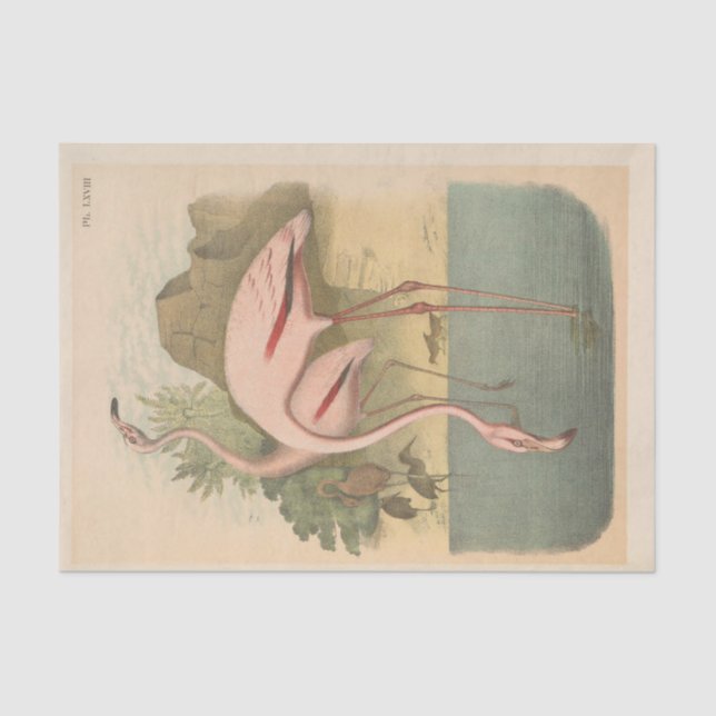 Flamingoes Bird Ephemera Decoupage Seidenpapier (Vorderseite)