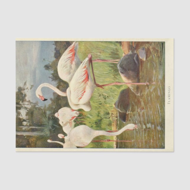 Flamingoes Bird Ephemera Decoupage Seidenpapier (Vorderseite)