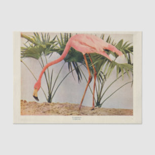 Flamingoes Bird Ephemera Dekoupage Tissue Paper Seidenpapier
