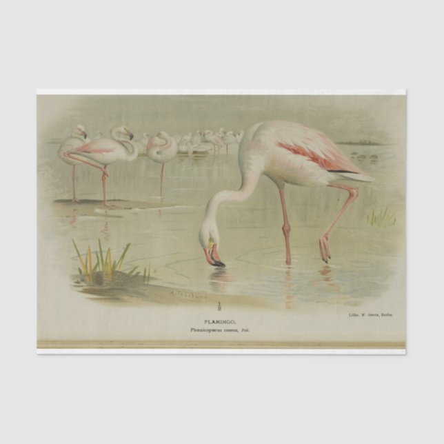 Flamingoes Birds Ephemera Decoupage Seidenpapier (Vorderseite)