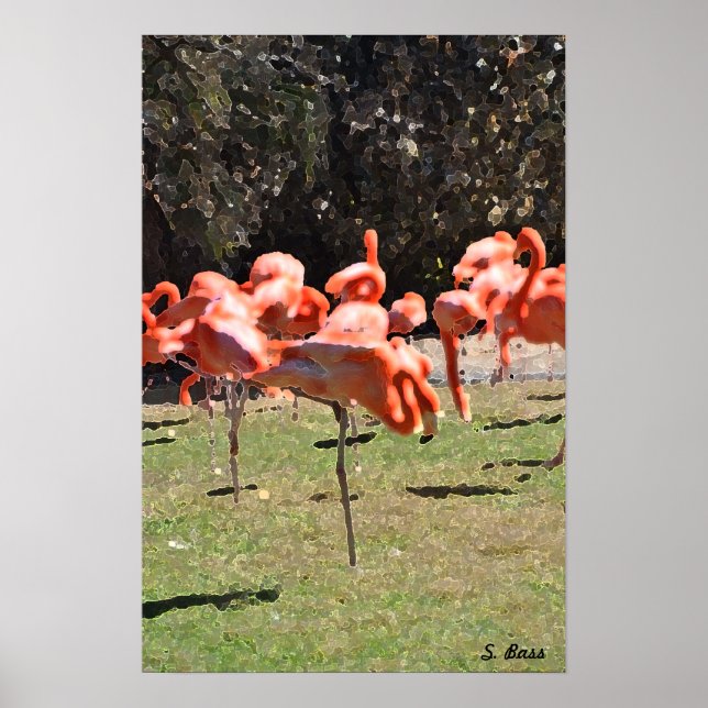 Flamingoes Print Poster (Vorne)