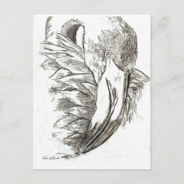 Flamingomuster Postkarte (Vorderseite)