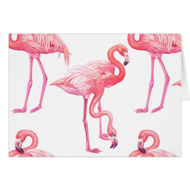 Flamingos (Vorderseite (Horizontal))