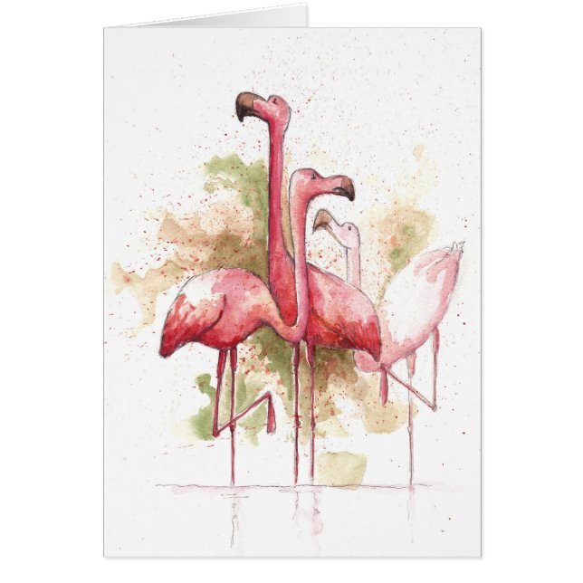 Flamingos (Vorne)