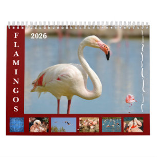 Flamingos 12 Monate Kalender