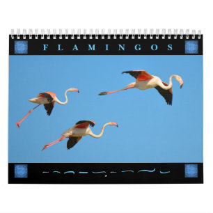 Flamingos 12 Monate Kalender