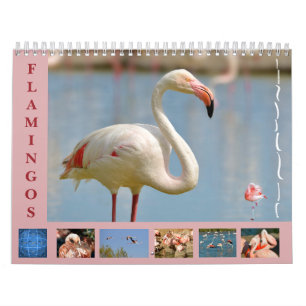 Flamingos 12 Monate Kalender