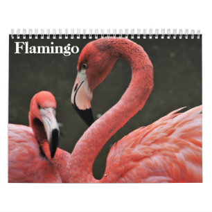 Flamingos 2025 kalender