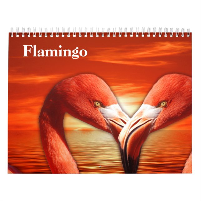 Flamingos 2025 kalender (Titelbild)