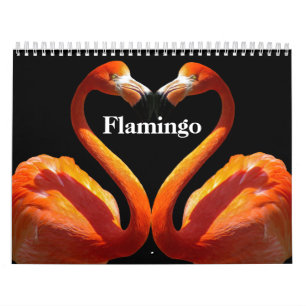 Flamingos 2025 kalender