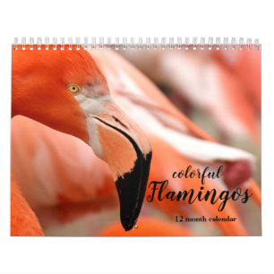 Flamingos 2025 kalender
