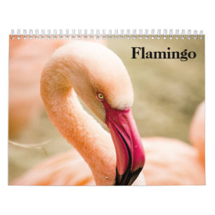Flamingos 2026 kalender