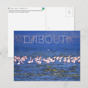 Flamingos am Abhe-See, Dschibuti Reise-Postkarte Postkarte