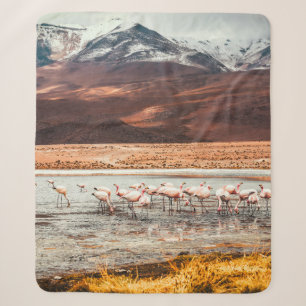 FLAMINGOS AUF WASSERKÖRPER SHERPADECKE