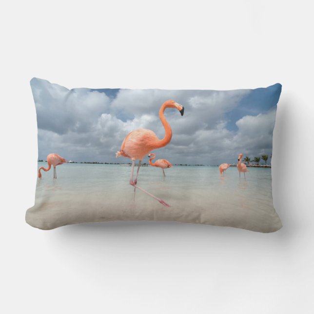 Flamingos Beach Aruba Lendenkissen (Vorderseite)