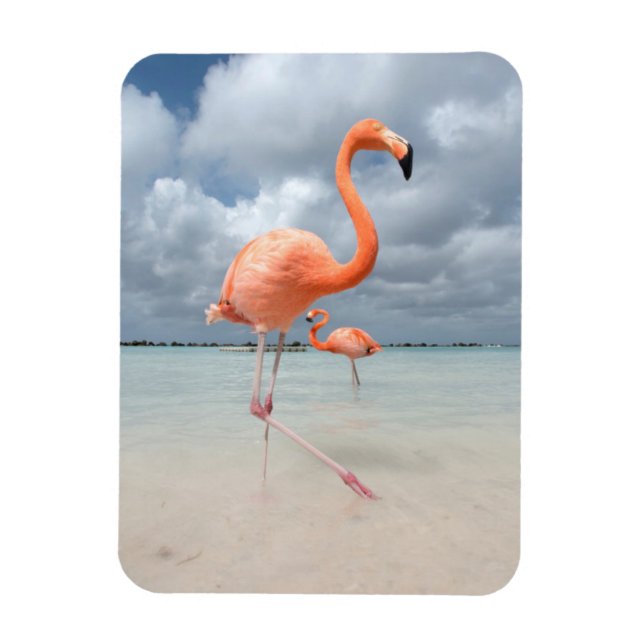 Flamingos Beach Aruba Magnet (Vertikal)