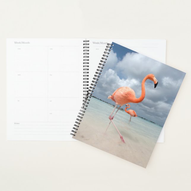 Flamingos Beach Aruba Planer (Anzeige)