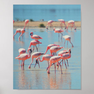 Flamingos bei Sonnenaufgang Poster