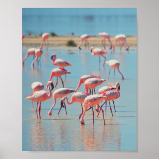 Flamingos bei Sonnenaufgang Poster