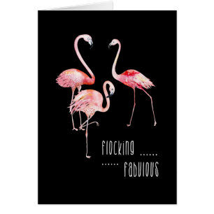 Flamingos, fabelhaftes lustiges