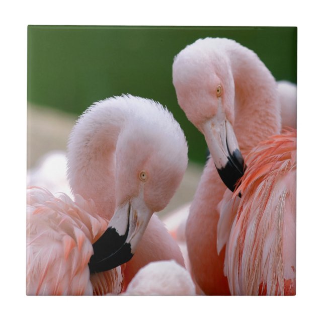 Flamingos Fliese (Vorderseite)