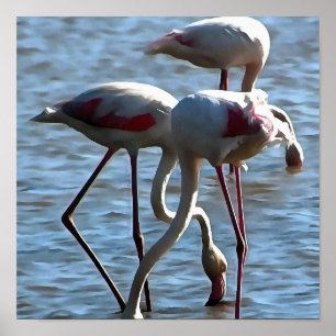 Flamingos Fütternd Zeit Akryllische Malerei Poster