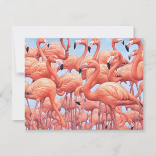 Flamingos, Grußkarte