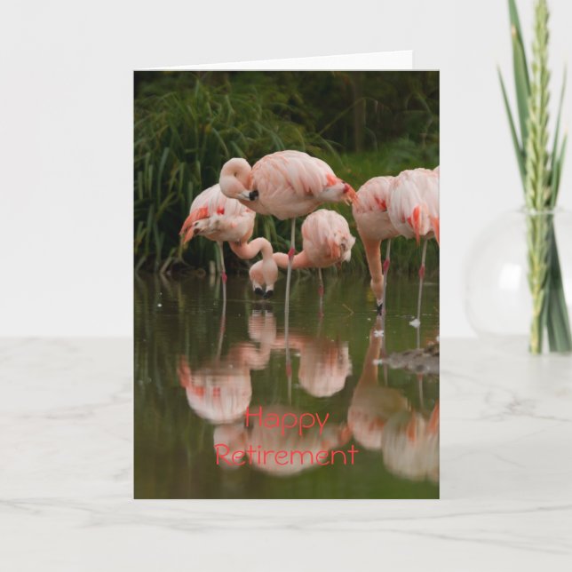 Flamingos Happy Pensioncard Karte (Vorderseite)