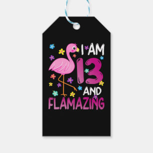 Flamingos  Ich bin 13. Phantastischer 13. Geburtst Geschenkanhänger