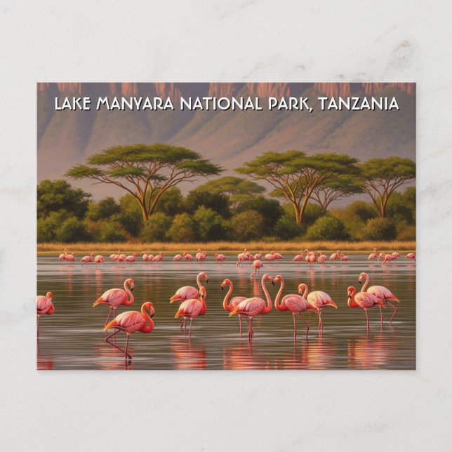 Flamingos im Tansania Lake Manyara Nationalpark Postkarte (Vorderseite)