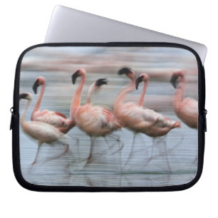 Flamingos in Bewegung, Phoenicopterus Laptopschutzhülle