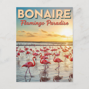 Flamingos in Bonaire in der niederländischen Karib Postkarte