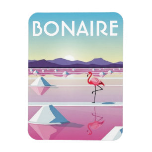 Flamingos in Bonaire Niederländische Karibik Magnet